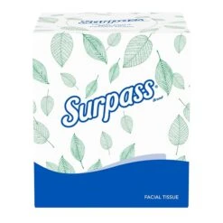 Surpass Boutique Facial Tissue, 2-ply, 110 Tissues/Box, 36 Boxes/Pack (21320) -Kleenex Shop 1FBC740E 12CF 4537 B052D862B01F140F s7