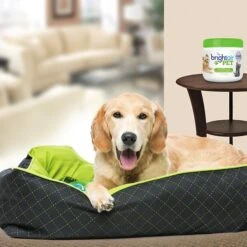 BRIGHT Air® Pet Odor Eliminator, Cool Citrus, 14 Oz Jar, 6/Carton 5 BRIGHT Air® Pet Odor Eliminator, Cool Citrus, 14 Oz Jar, 6/Carton -Kleenex Shop 96BA9776 8785 4623 B11EF303B488378A s7
