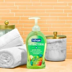 Softsoap Antibacterial Liquid Hand Soap, Sparkling Pear, 11.25 Oz. (US07326A)