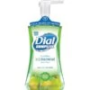 Dial Complete Antibacterial Foaming Hand Wash, Pear, 7.5 Oz., 8/CT (DIA02934CT)