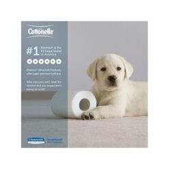 Cottonelle CleanCare 1-Ply Standard Toilet Paper, White, 150 Sheets/Roll, 48 Rolls/Pack (12456) -Kleenex Shop sp44340838 s7