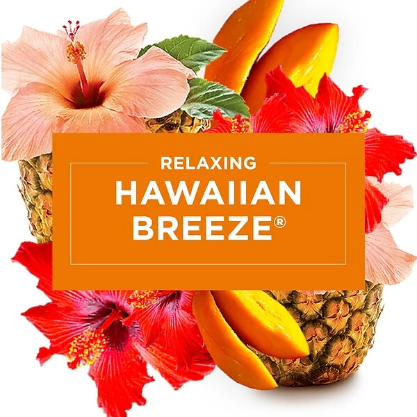 Glade® Glade PlugIns Scented Oil & Holders, Hawaiian Breeze, 0.67 Oz., 8/Pack (313802) 2 Glade® Glade PlugIns Scented Oil & Holders, Hawaiian Breeze, 0.67 Oz., 8/Pack (313802) - Image 2